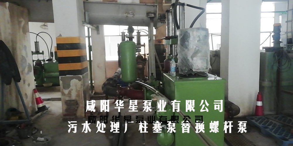 污水處理廠(chǎng)柱塞泵替換螺桿泵
